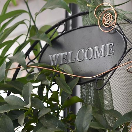 Hotel Alfredo'S Rimini Eksteriør bilde