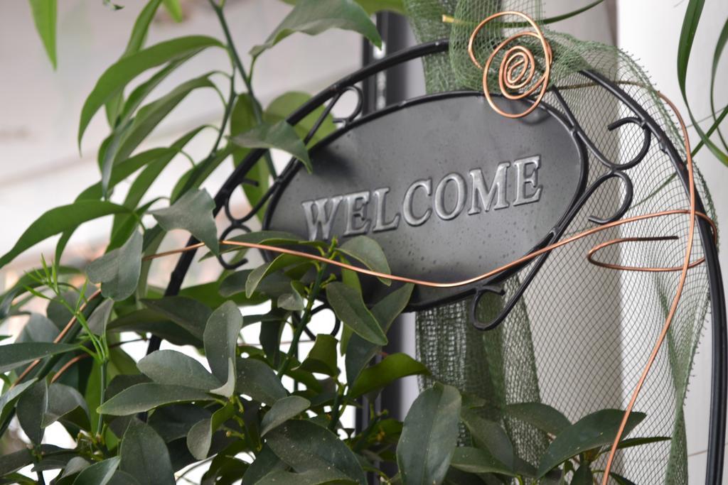 Hotel Alfredo'S Rimini Eksteriør bilde