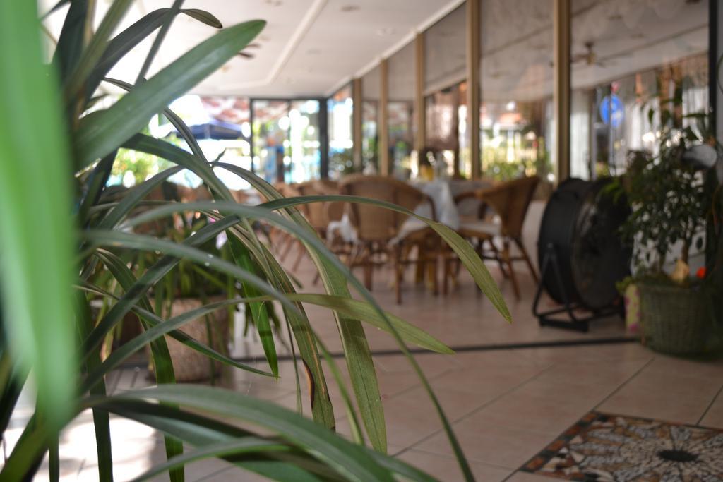 Hotel Alfredo'S Rimini Eksteriør bilde