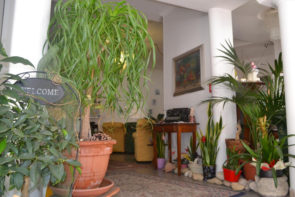 Hotel Alfredo'S Rimini Eksteriør bilde